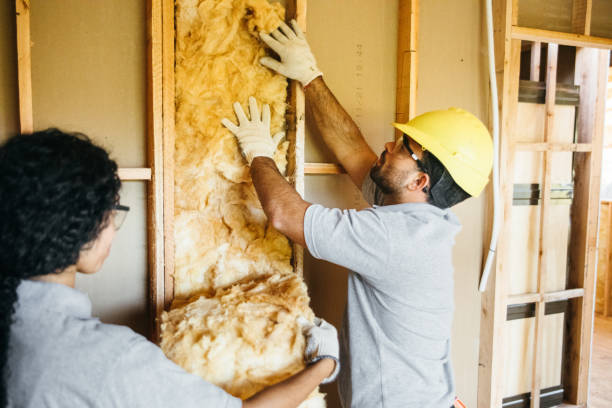  Lakin, KS Insulation Contractor Pros