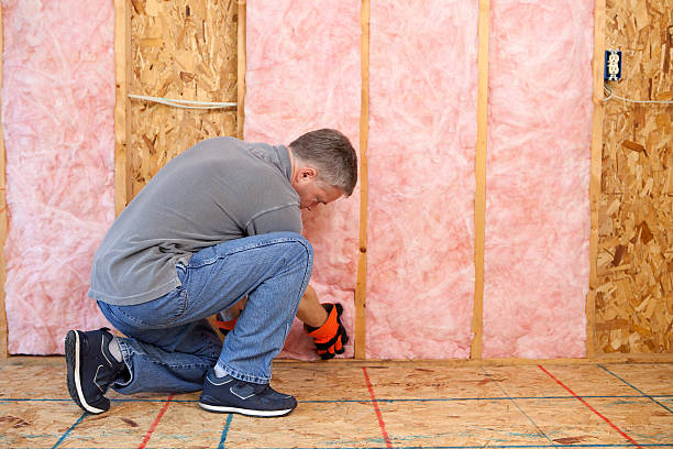 Best Home Insulation Services  in Lakin, KS